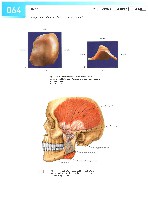 Sobotta Atlas of Human Anatomy  Head,Neck,Upper Limb Volume1 2006, page 71